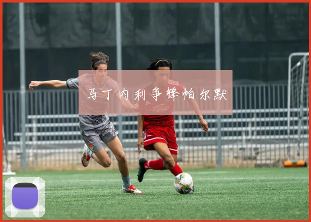 马丁内利争锋帕尔默
