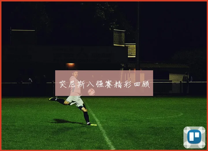 突尼斯八强赛精彩回顾
